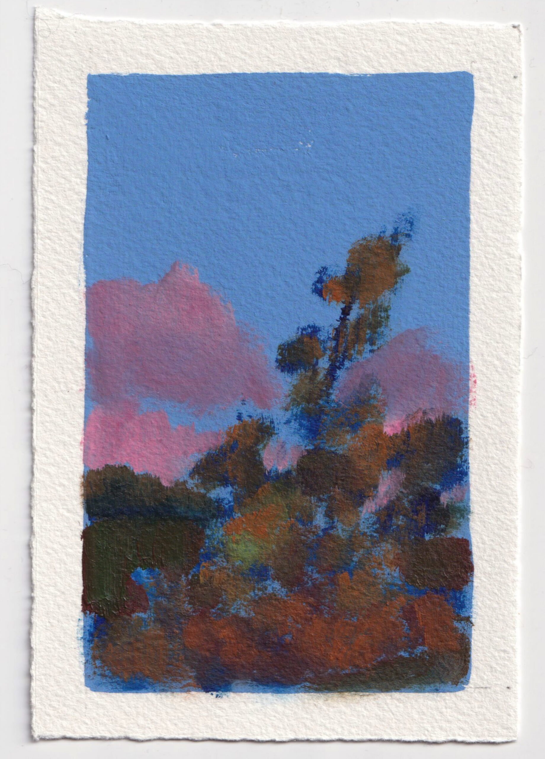 Pérégrination 20260301 #10