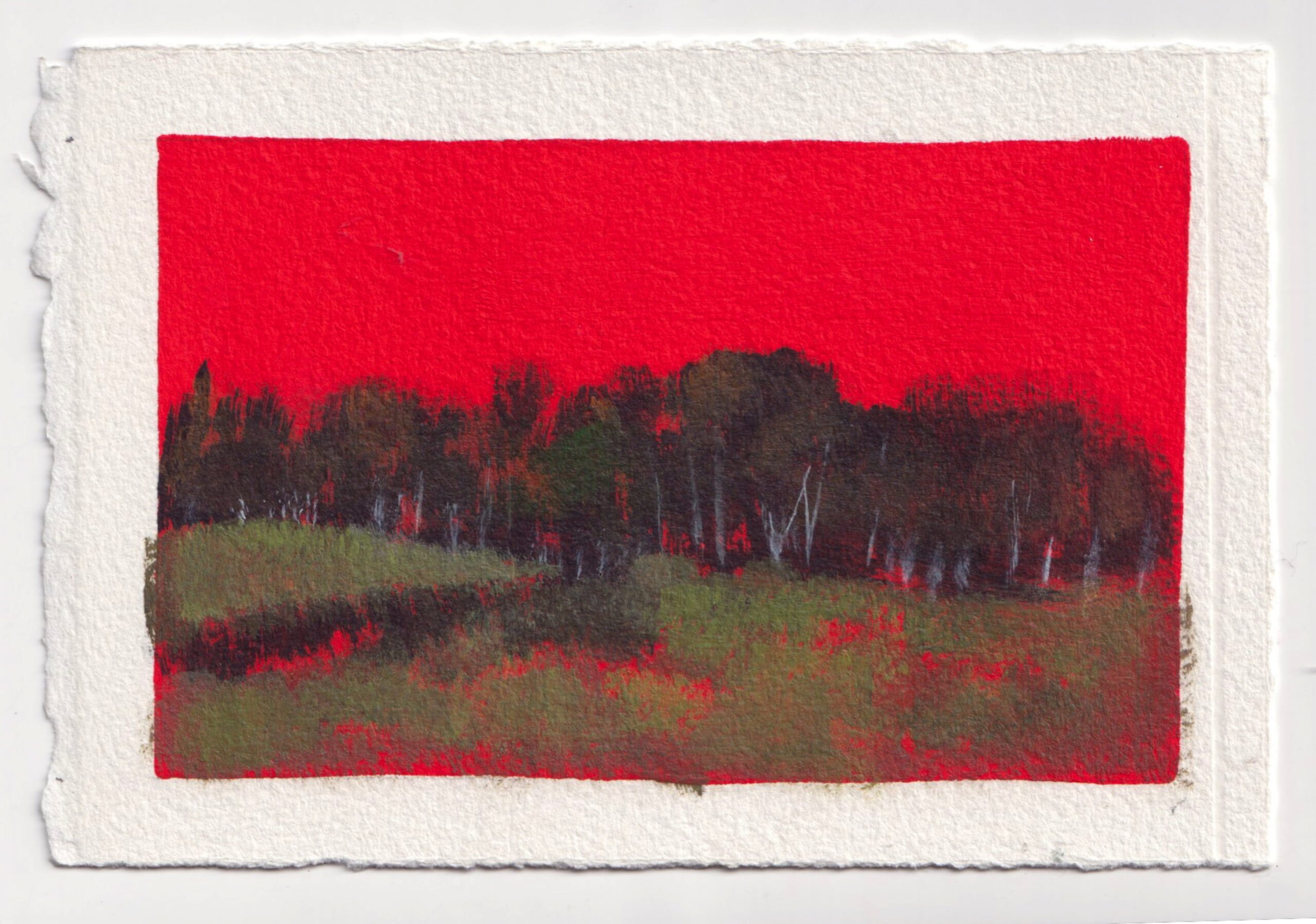 Pérégrination 20260301 #16