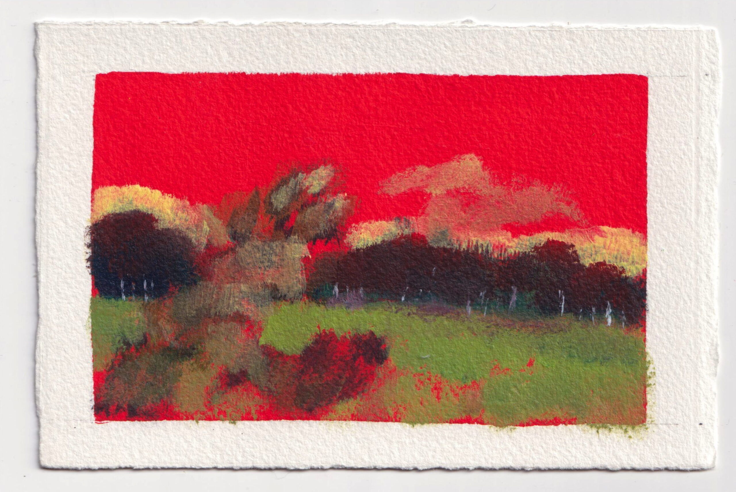 Pérégrination 20260301 #17