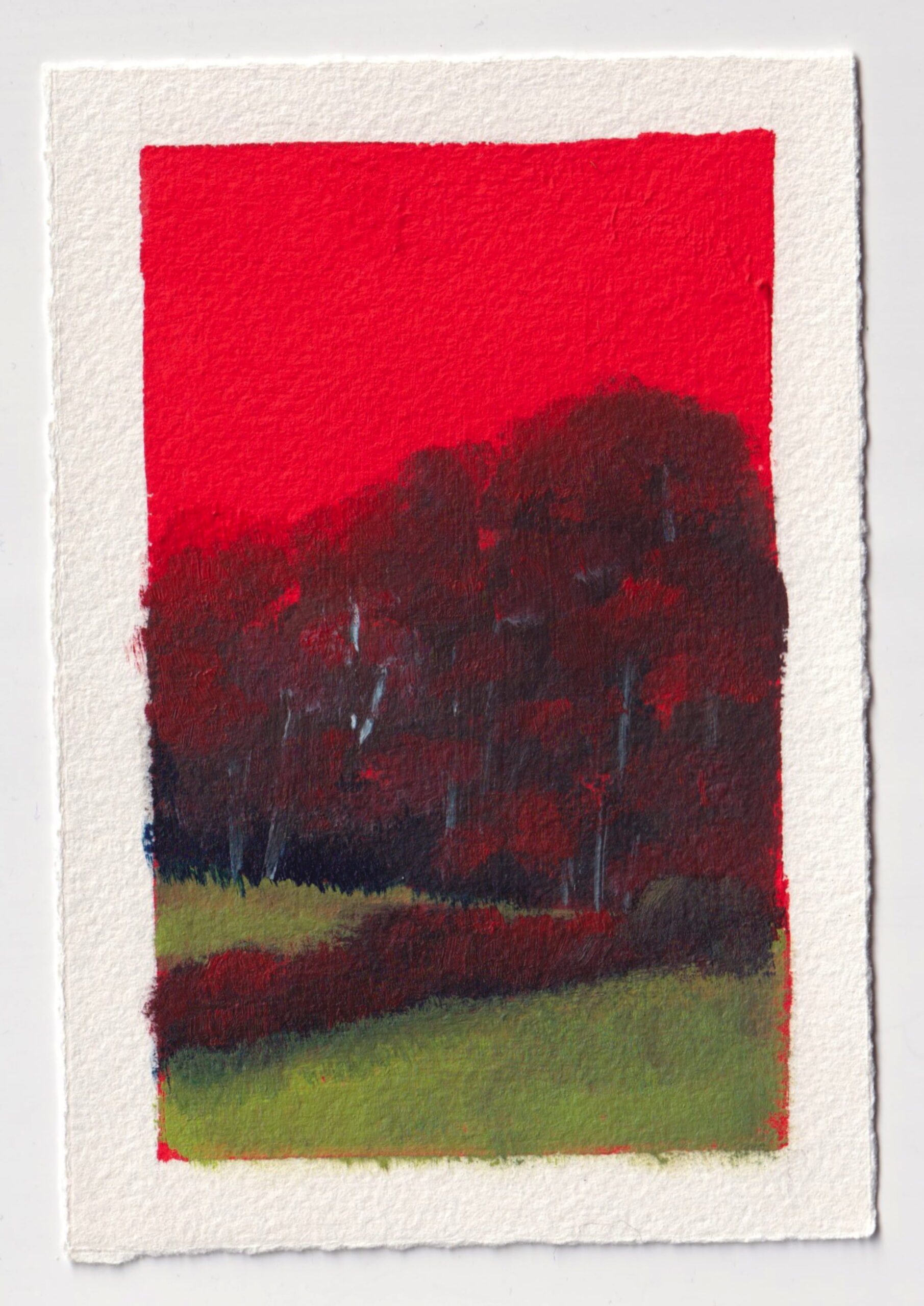 Pérégrination 20260301 #18