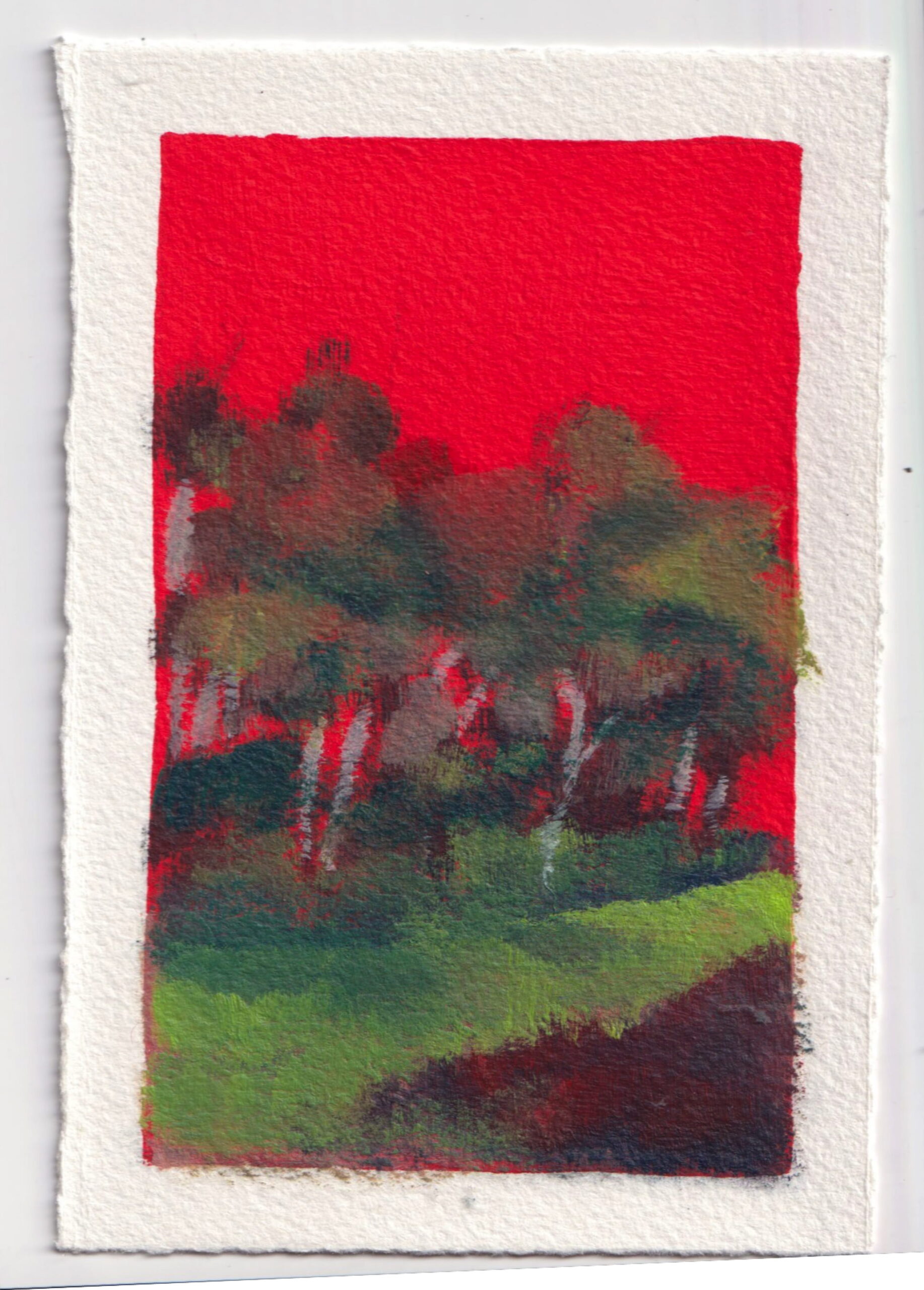 Pérégrination 20260301 #19