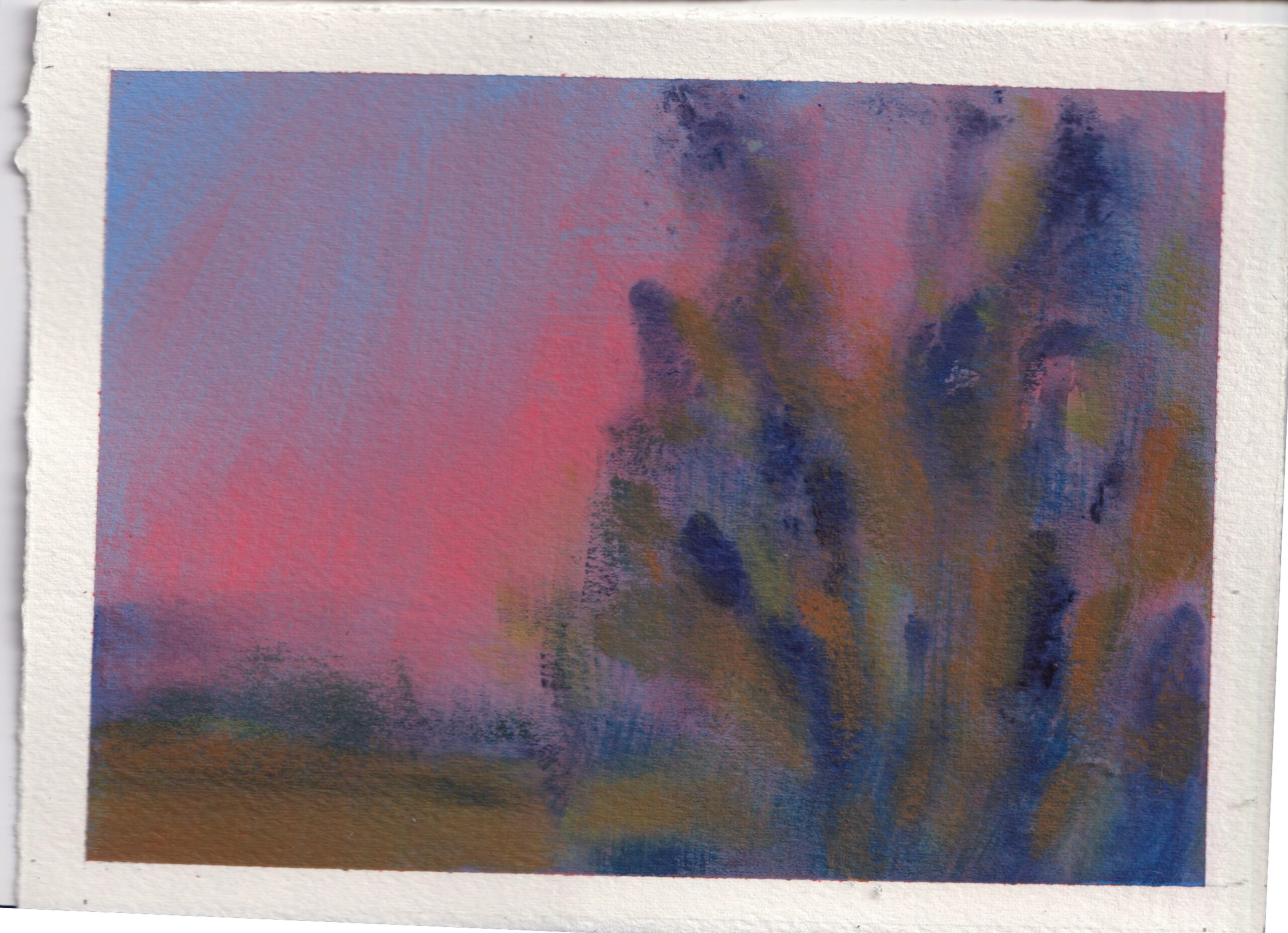 Nattosito_pérégrination_20260312_0011