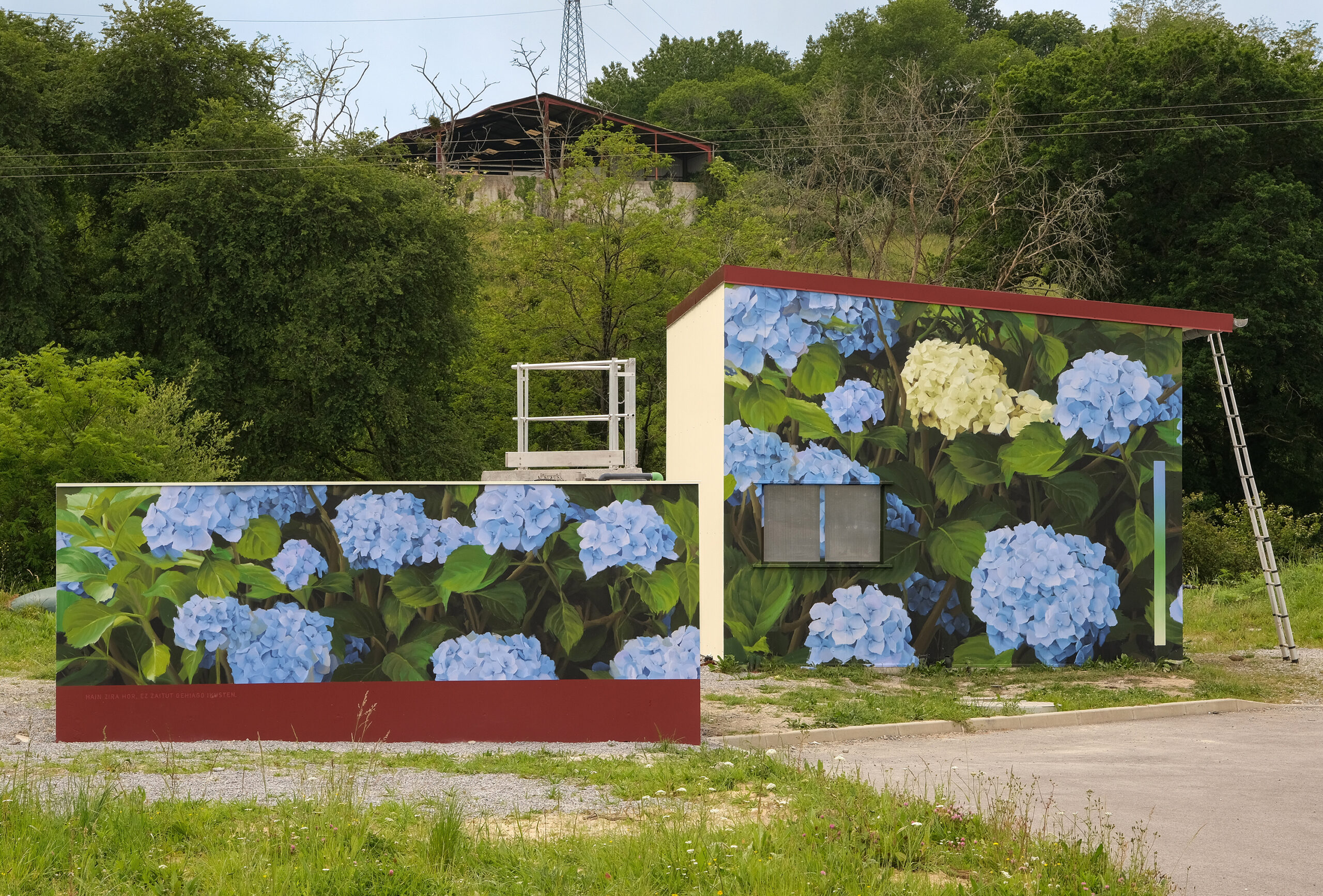 RÉMI TOURNIER - ARTFWD
