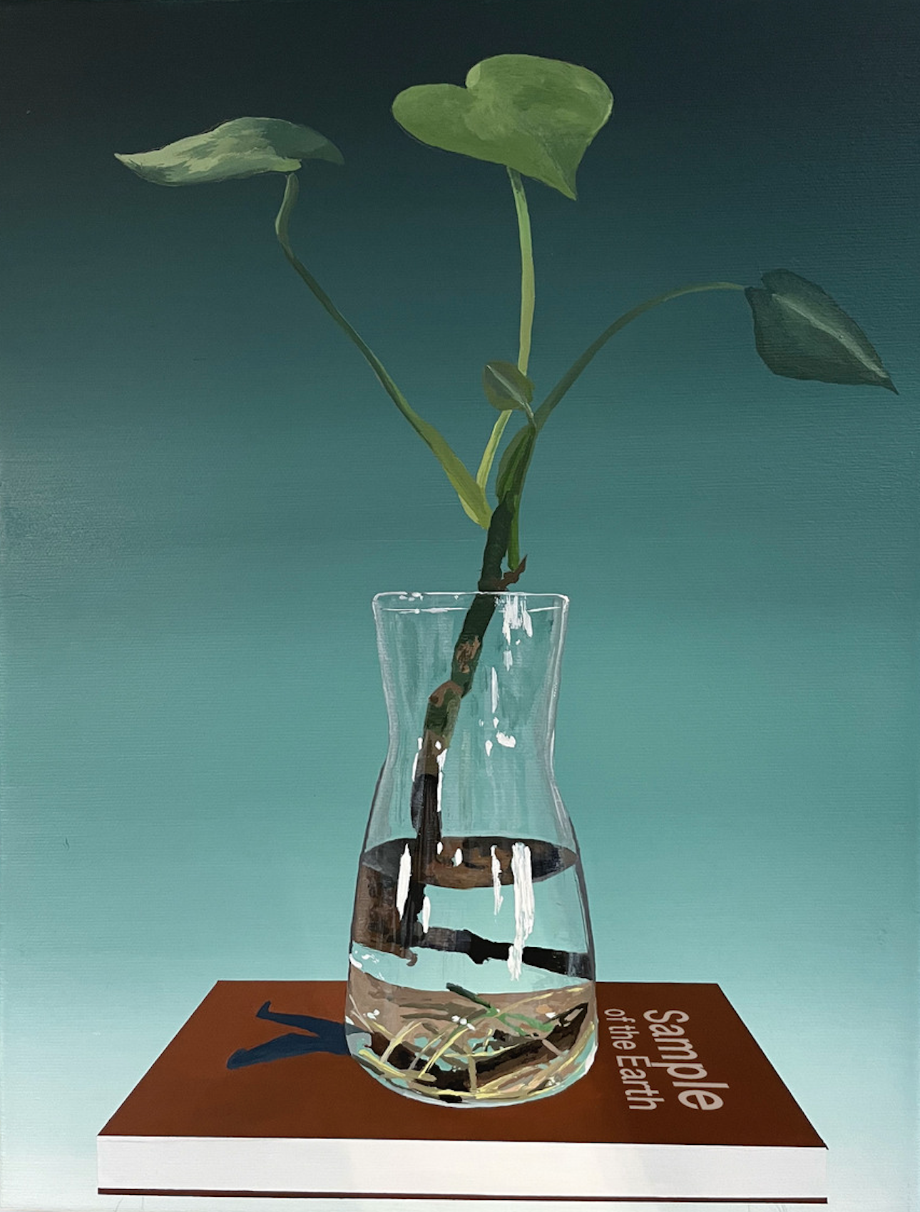 Sample of the Earth